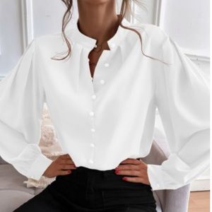 Luxurious satin bishop sleeve blouse